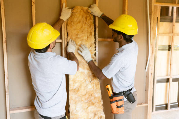 Best Insulation Contractor Near Me  in Adrian, MI