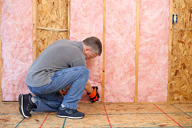 Best Insulation Replacement Services  in Adrian, MI
